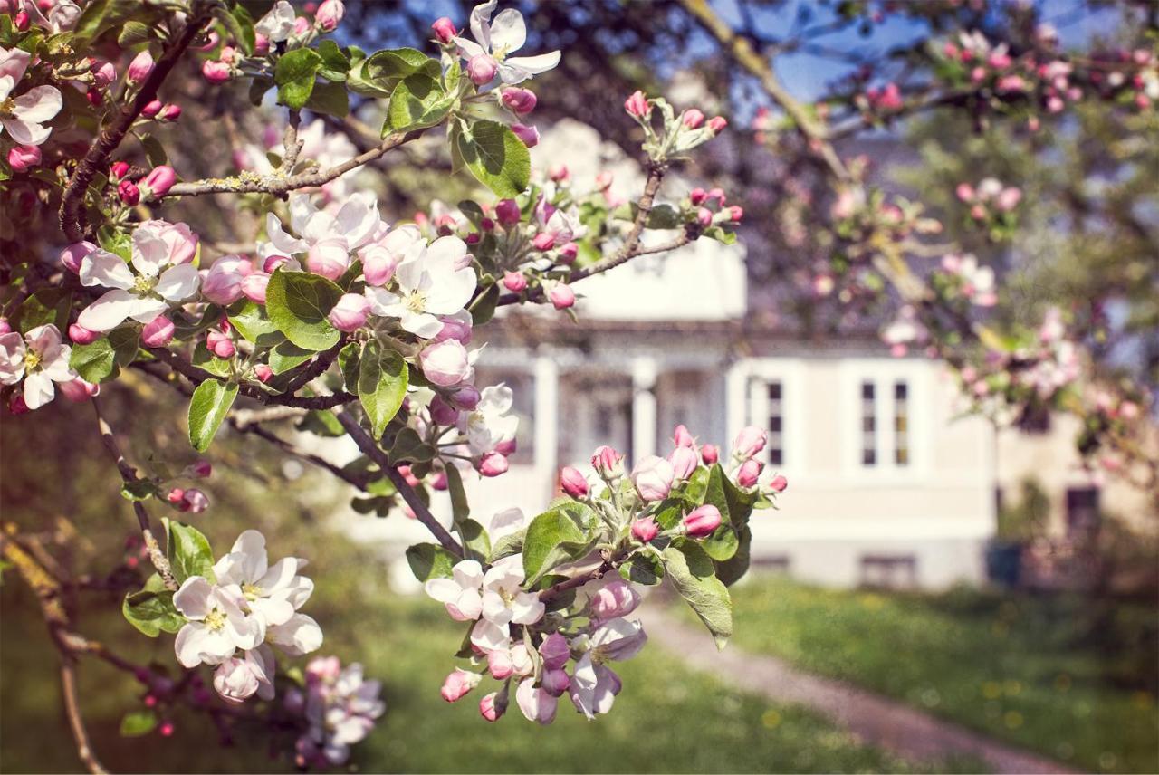Three Pheasants Boutique Bed And Breakfast Ekeby  Εξωτερικό φωτογραφία